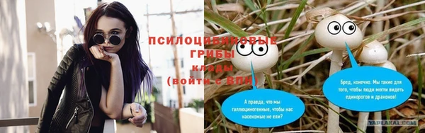 метадон Арсеньев